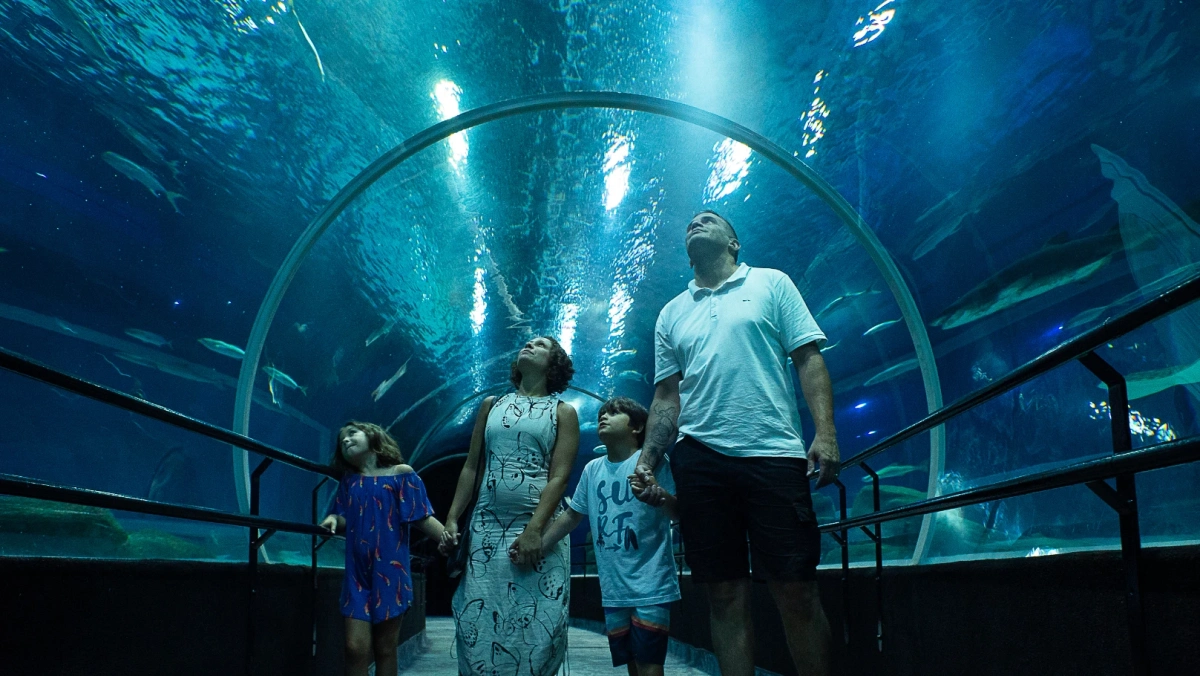 Um túnel pelo fundo do mar